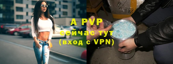 хмурый Новозыбков