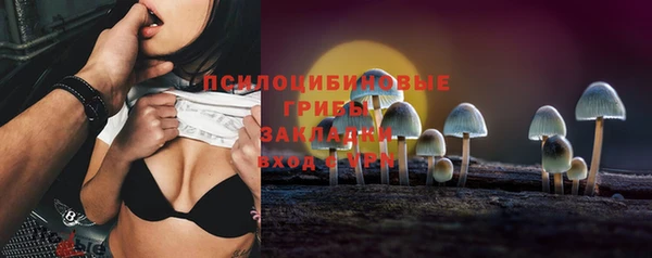 хмурый Новозыбков