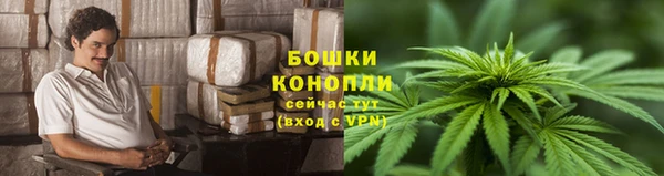 хмурый Новозыбков