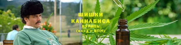 мдпв Новокубанск