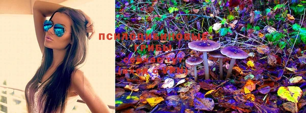 дистиллят марихуана Новодвинск
