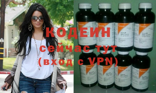 хмурый Новозыбков