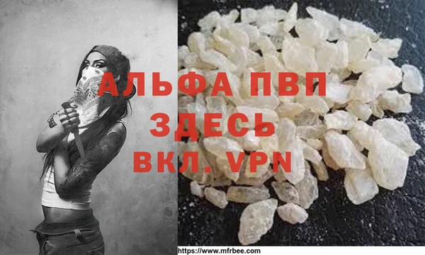 хмурый Новозыбков