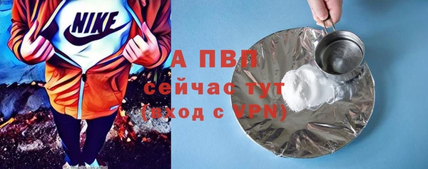 хмурый Новозыбков