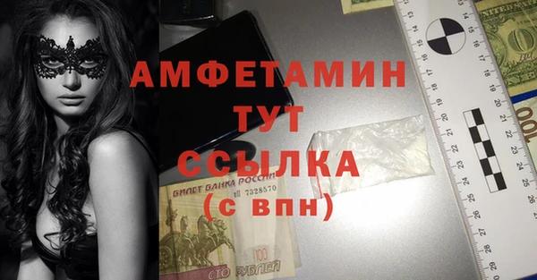 хмурый Новозыбков