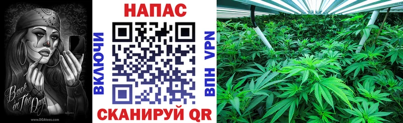 Марихуана LSD WEED  Солигалич 